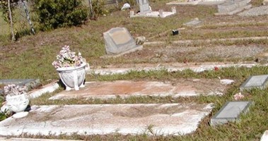 Jewell Graves Newberry