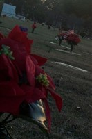 Jewell M. Blankenship