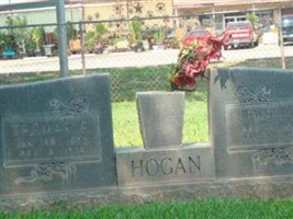 Jewell P Tyra Hogan Jewell P Tyra Hogan