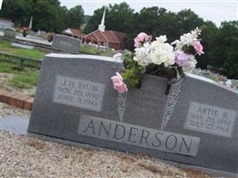 J H Anderson J H Anderson