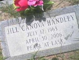 Jill Canova Handley Jill Canova Handley
