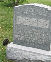 Jim Downing