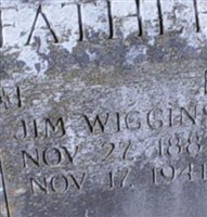 Jim Wiggins Jim Wiggins