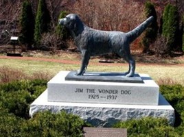 "Jim" The Wonder Dog "Jim" The Wonder Dog