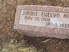 Jimmie Evelyn Hill