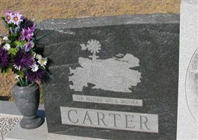 Jimmy Dean Carter Jimmy Dean Carter