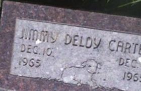 Jimmy DeLoy Carter Jimmy DeLoy Carter