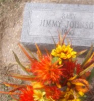 Jimmy Johnson Jimmy Johnson