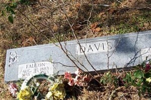 Jinnie E Davis Jinnie E Davis
