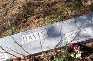 Jinnie E Davis Jinnie E Davis