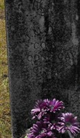 J M Day J M Day