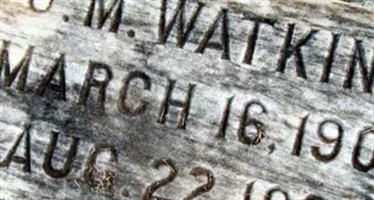 J M Watkins J M Watkins