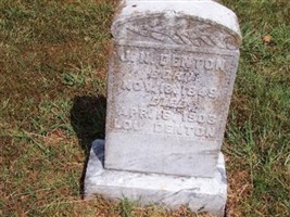 J. N. Denton J. N. Denton