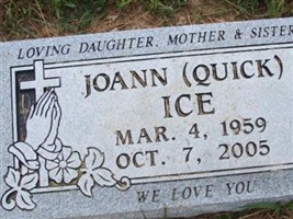 Jo Ann Quick Ice Jo Ann Quick Ice