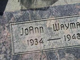 Jo Ann Wayman