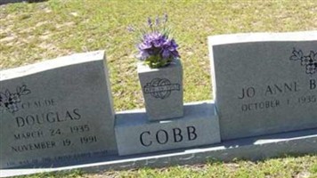Jo Anne B Cobb