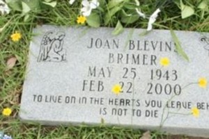 Joan Blevins Brimer Joan Blevins Brimer
