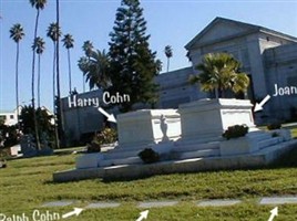 Joan Cohn