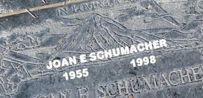 Joan E Schumacher