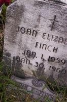 Joan Elizabeth Finch