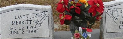 Joan Flynt Merritt