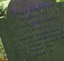 Joan Gallop Joy