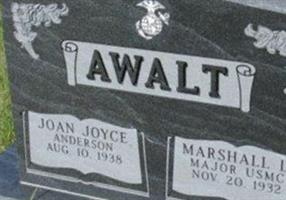 Joan Joyce Anderson Awalt