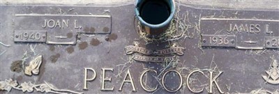 Joan L Peacock