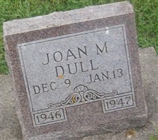 Joan M Dull