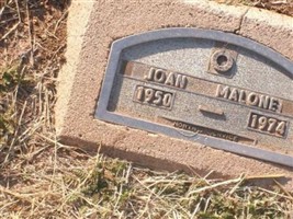 Joan Malone Joan Malone