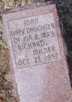 Joan Milner Joan Milner