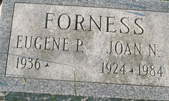 Joan N Forness