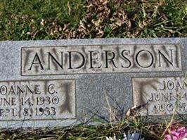 Joan P. Anderson