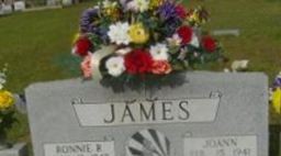 JoAnn James JoAnn James