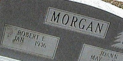 JoAnn Morgan