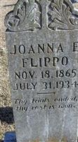 Joanna E Flippo