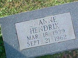 Joanne Hendrix