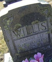 Joanne Lee Willis Joanne Lee Willis