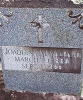 Joaquina M Valente