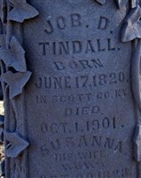 Job D Tindall