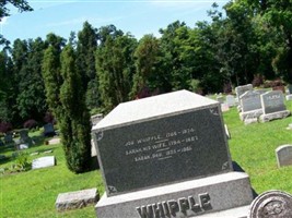 Job Whipple Job Whipple
