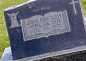 Jody Ann Voss