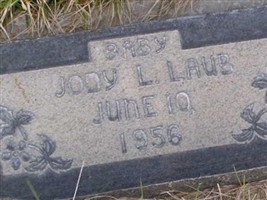 Jody Lynn Laub Jody Lynn Laub