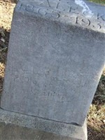 Joe Aleck