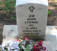 Joe Andy Loomis