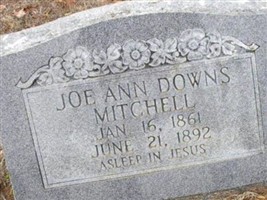 Joe Ann Downs Mitchell Joe Ann Downs Mitchell