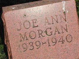 Joe Ann Morgan