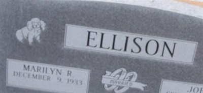 Joe B. Ellison