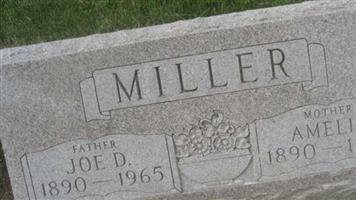Joe D. Miller