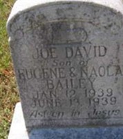 Joe David Bailey